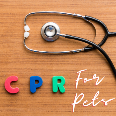 Pet CPR and Resuscitation