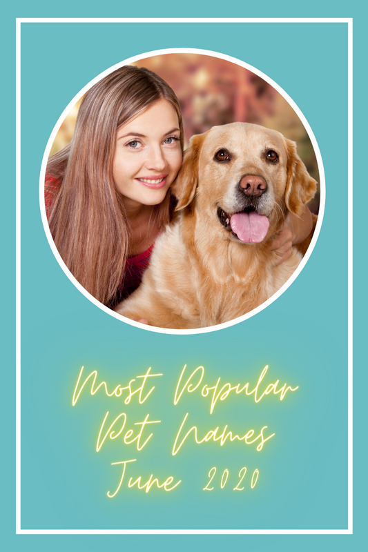 Most Popular Dog Names we Embroidered to Custom Dog Collars this month