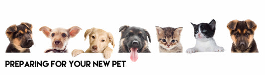 How to Prepare for a Brand New Pet