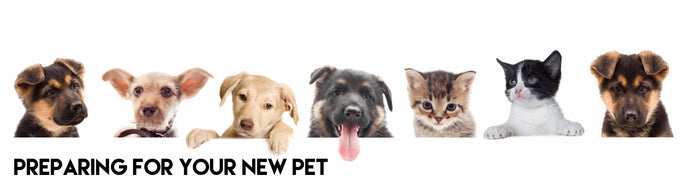 How to Prepare for a Brand New Pet.