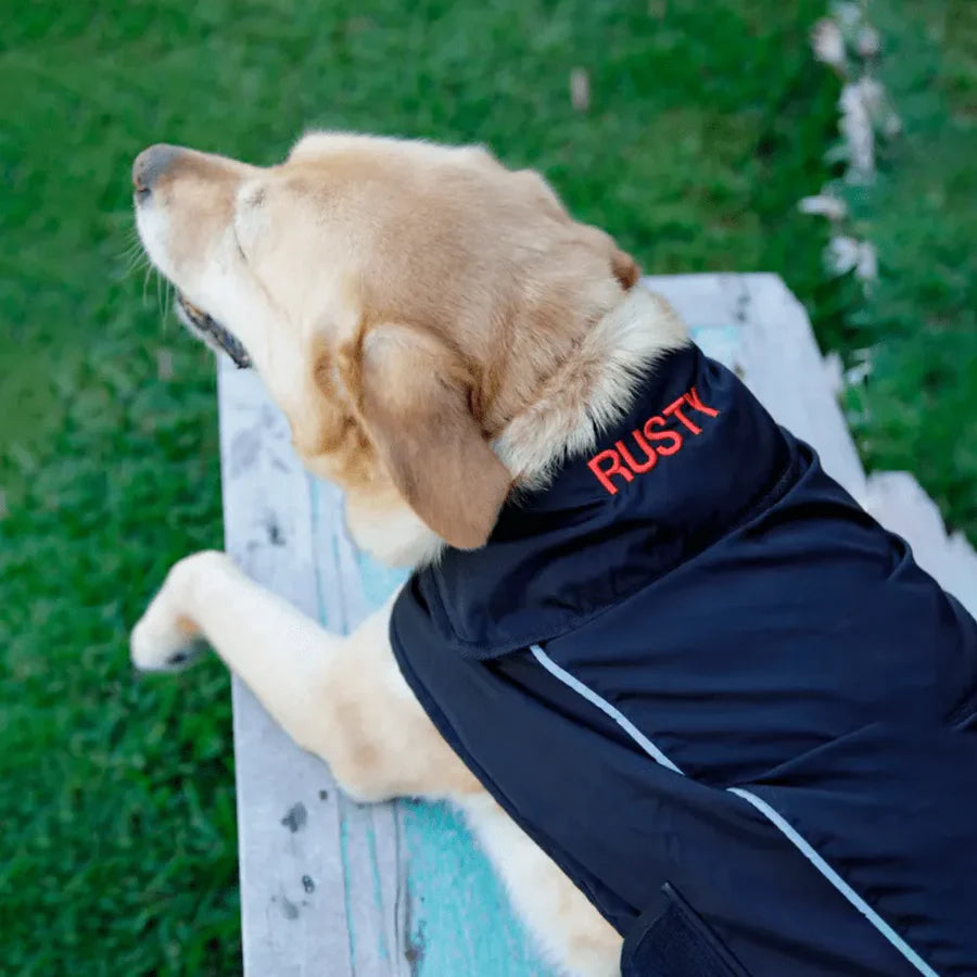 The Best Dog Coats Australia Offers