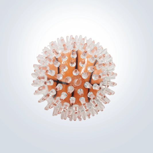 squeaky ball toy for dogs