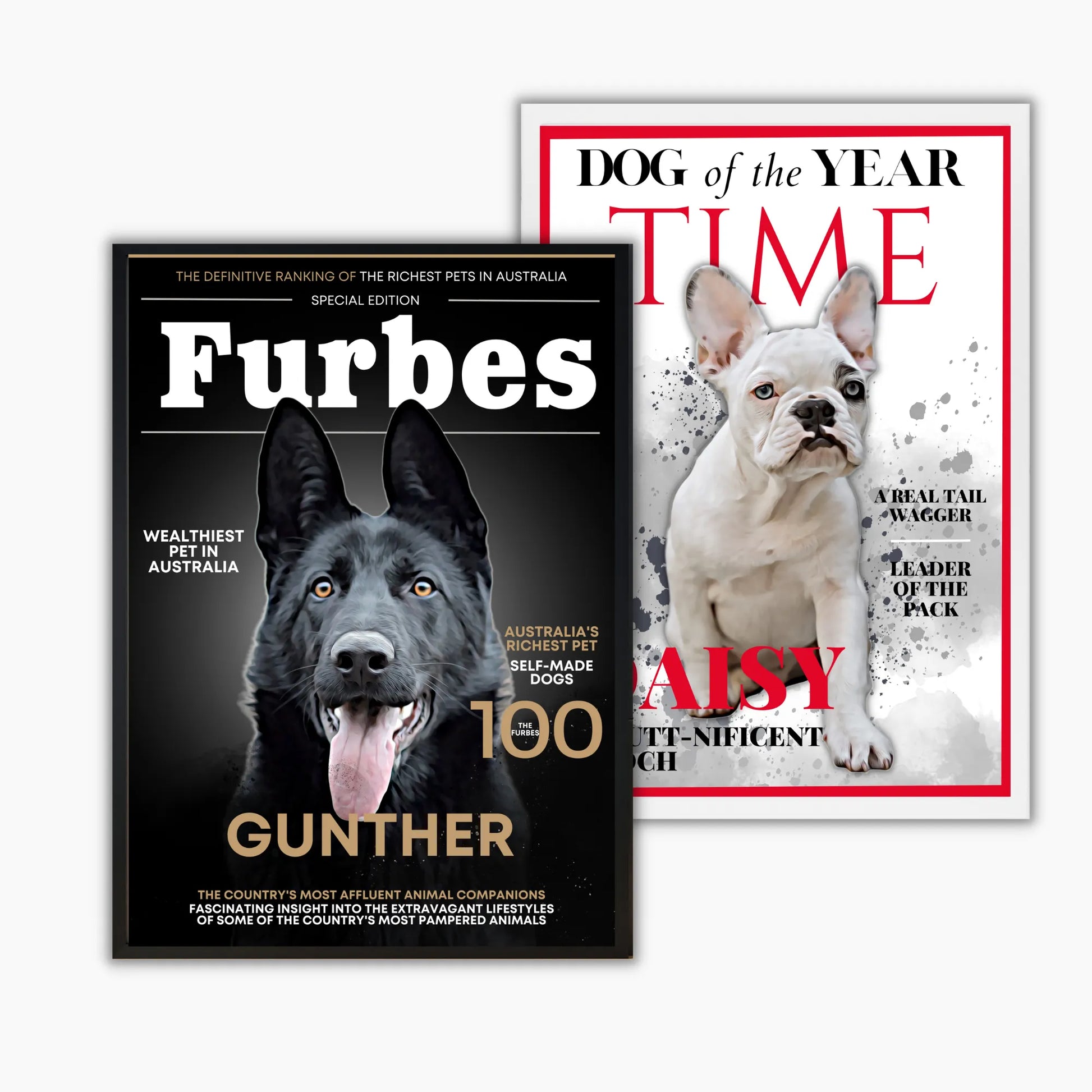 Magazine Style Personalised Pet Portrait