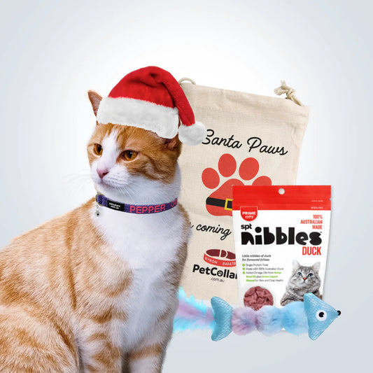 Cat Christmas Gift Set