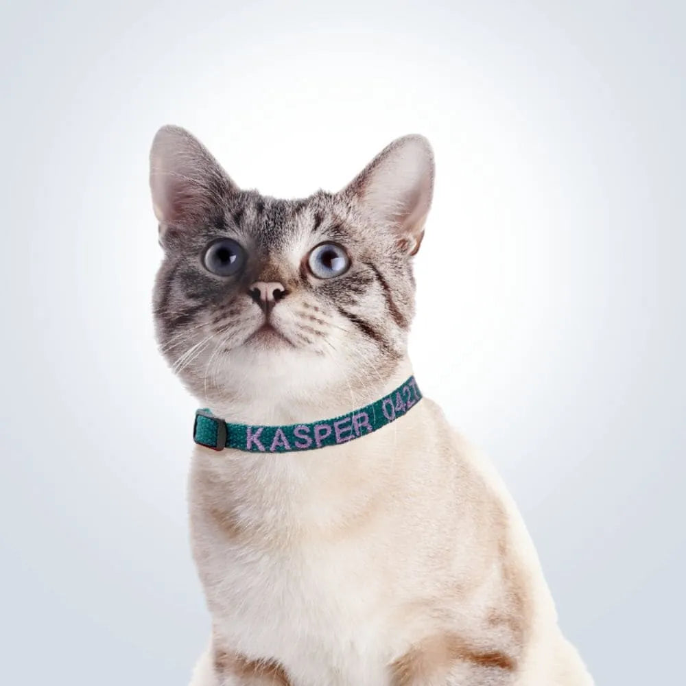 Embroidered cat collars hotsell