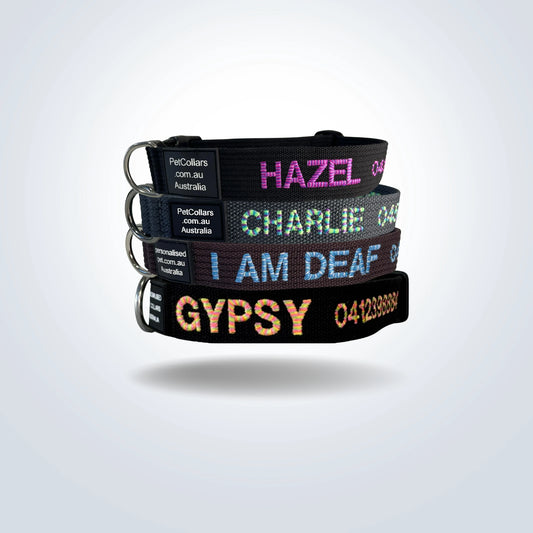 Personalised Pet Collars - Candy cat