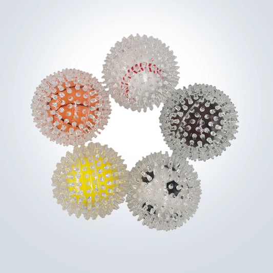 squeaky ball dog toy