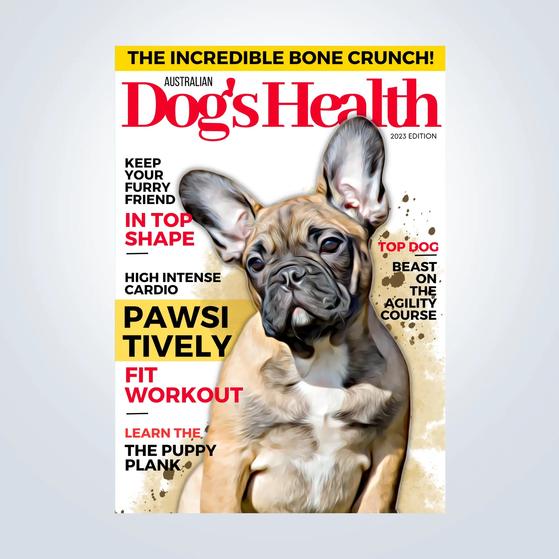 Magazine Style Personalised Pet Portrait