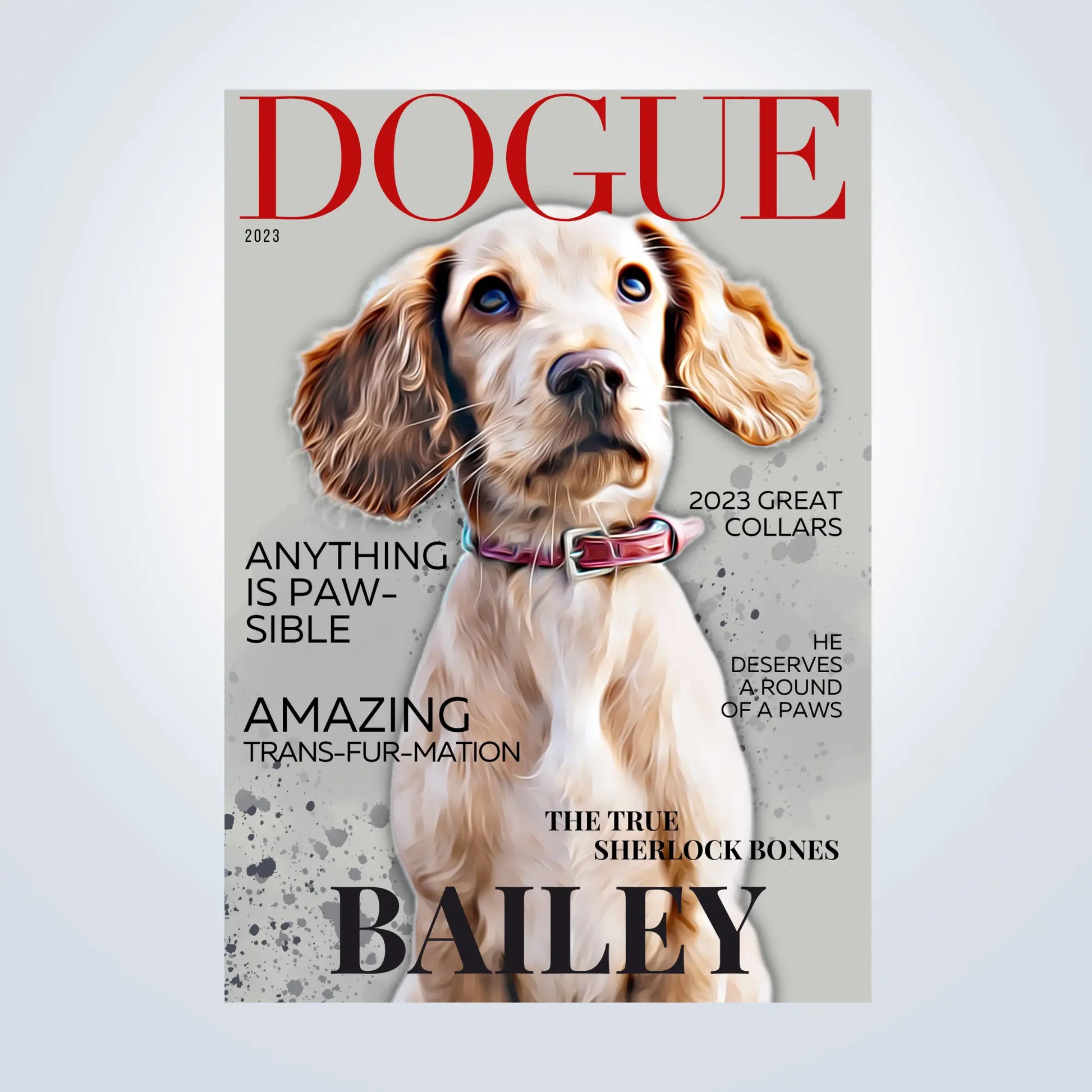Magazine Style Personalised Pet Portrait