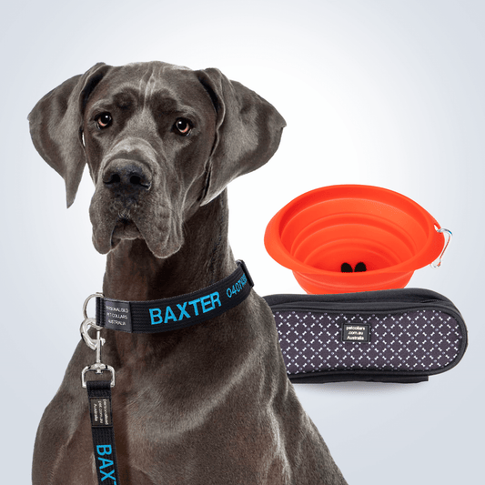 Complete Walking Set large