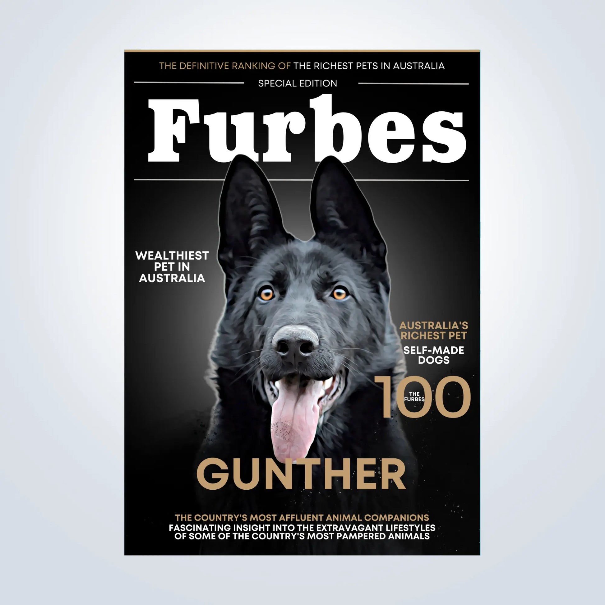 Magazine Style Personalised Pet Portrait