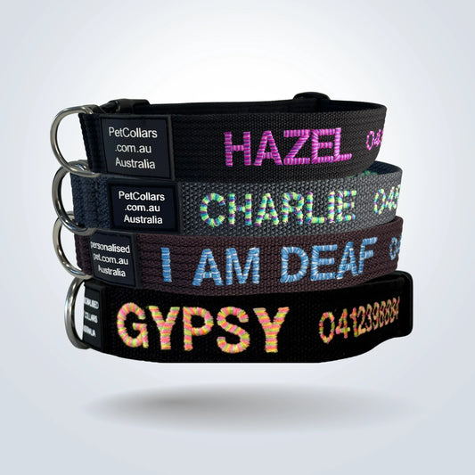 Personalised Pet Collars - Candy Large