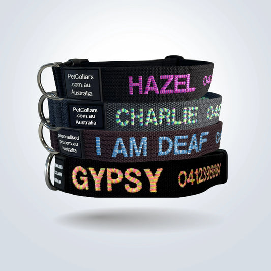 Personalised Pet Collars - Candy Medium
