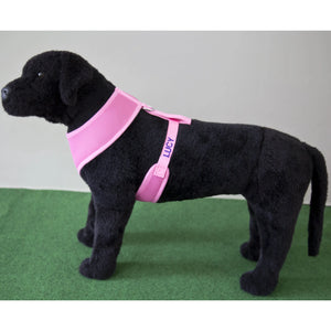 custom dog harness