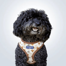 Load image into Gallery viewer, personalised pet harness