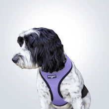 Load image into Gallery viewer, personalised pet harness