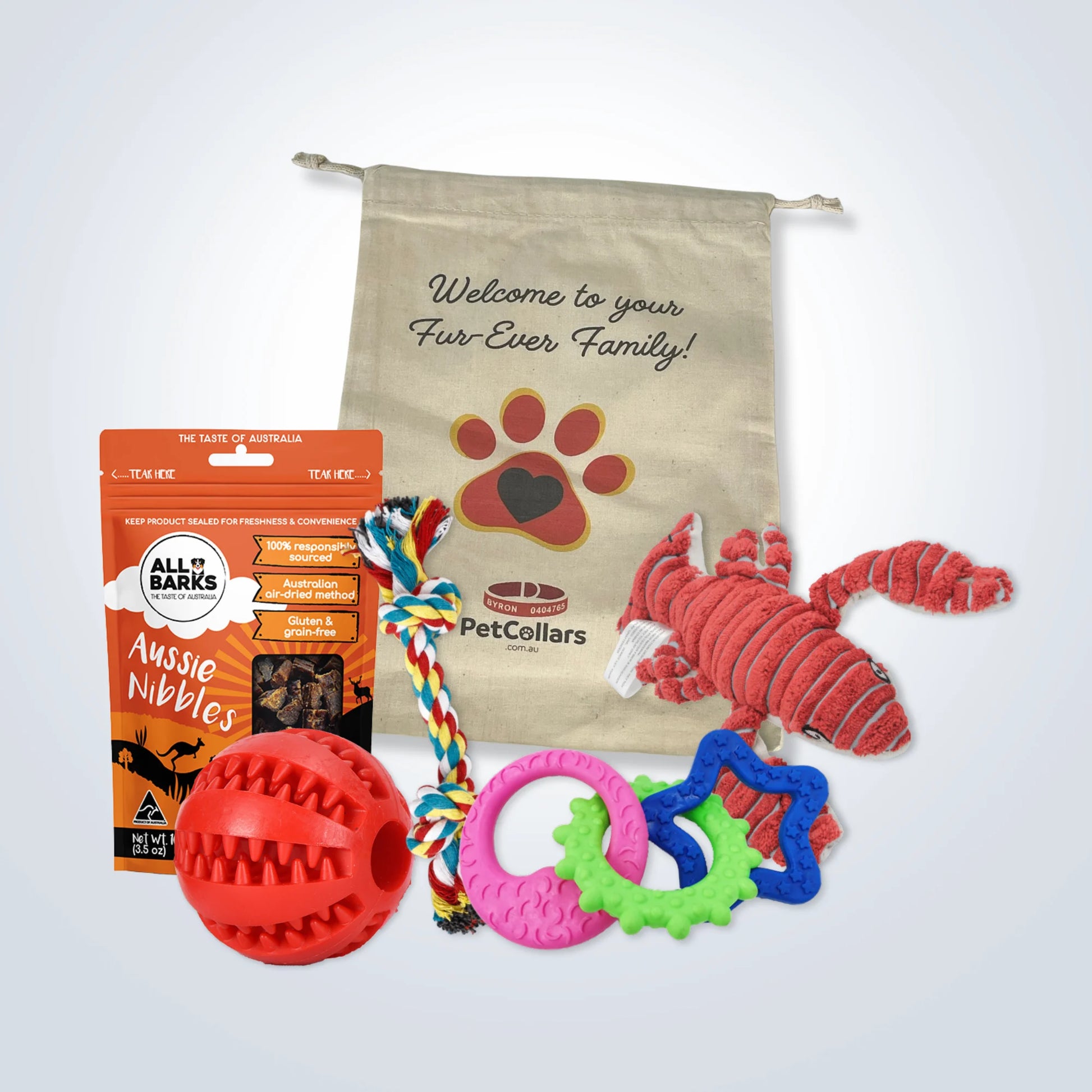 Puppy Welcome Home Gift Set - Small