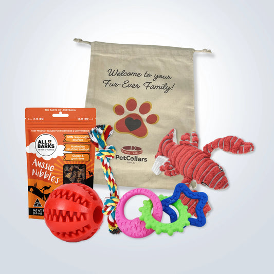 Puppy Welcome Home Gift Set - Small