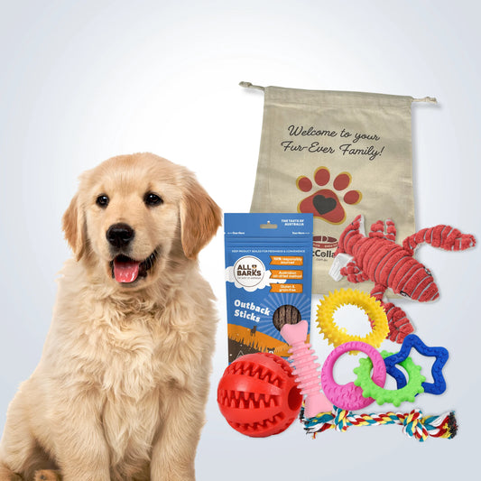 Puppy Welcome Home Gift Set - Large