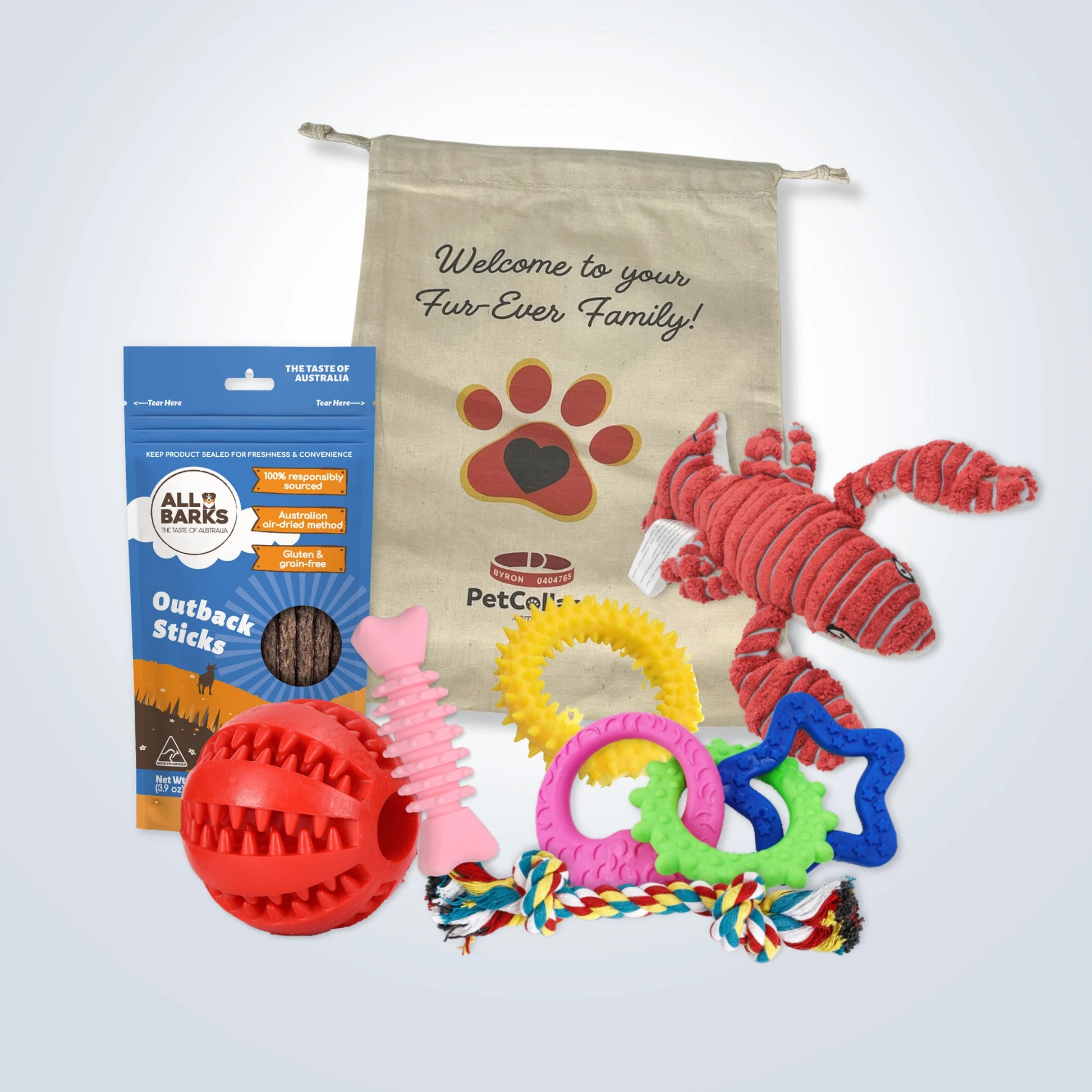 Puppy Welcome Home Gift Set - Large