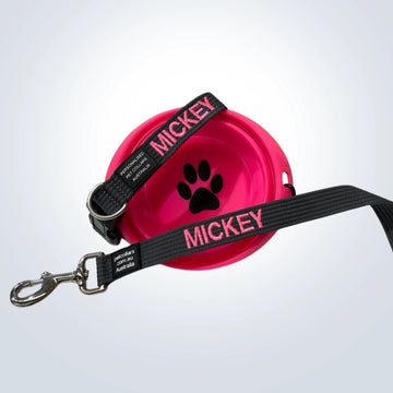 Complete the Look with a Matching Lead