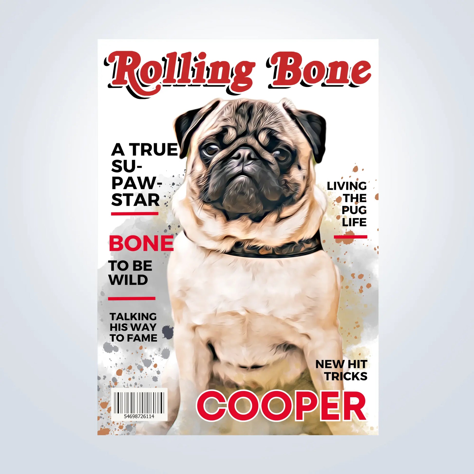 Magazine Style Personalised Pet Portrait