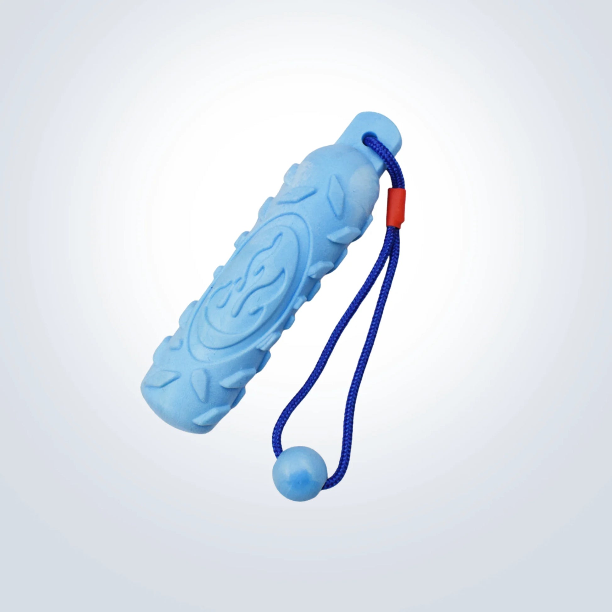 rope and rubber dog toy blue