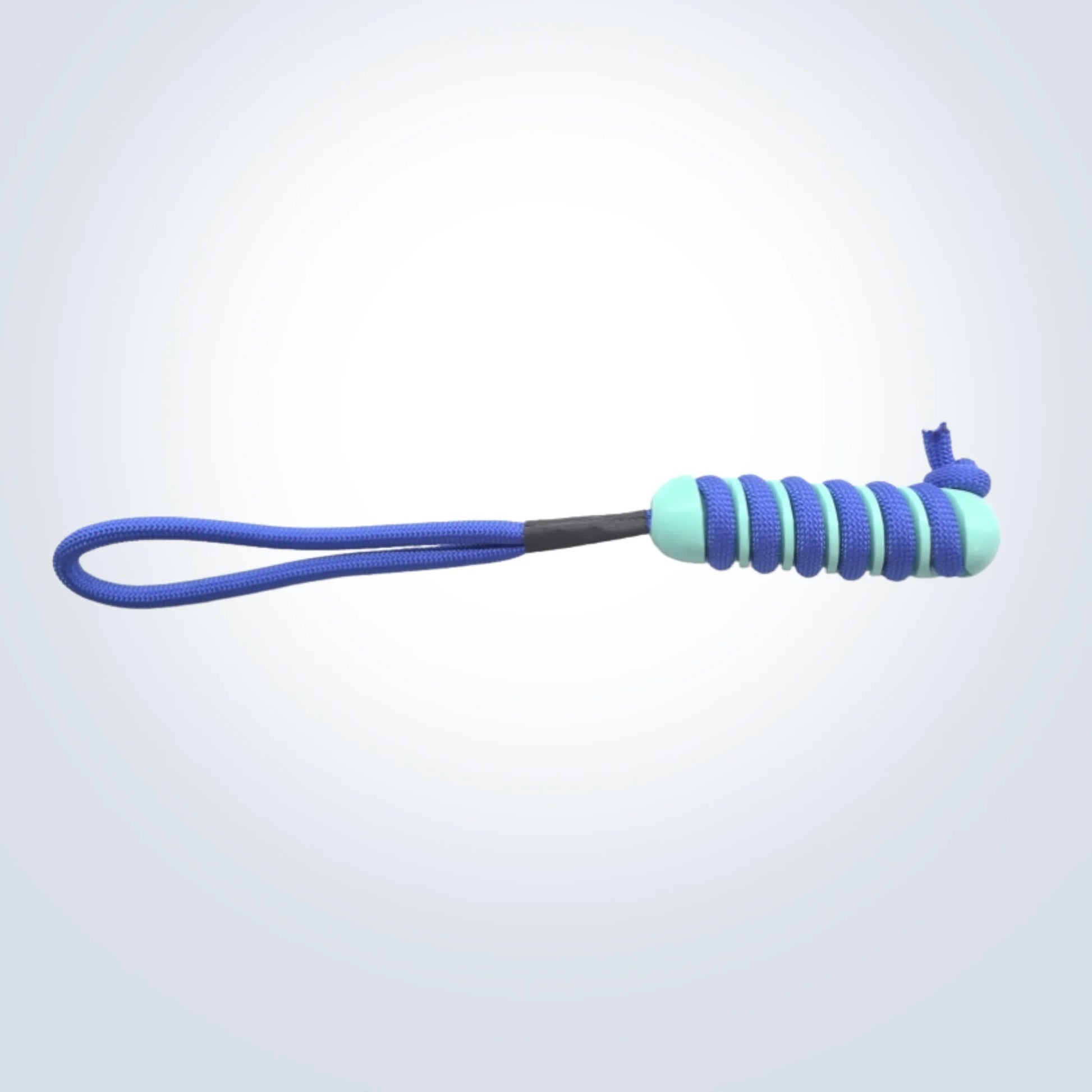 rope and rubber tug and chew dog toy