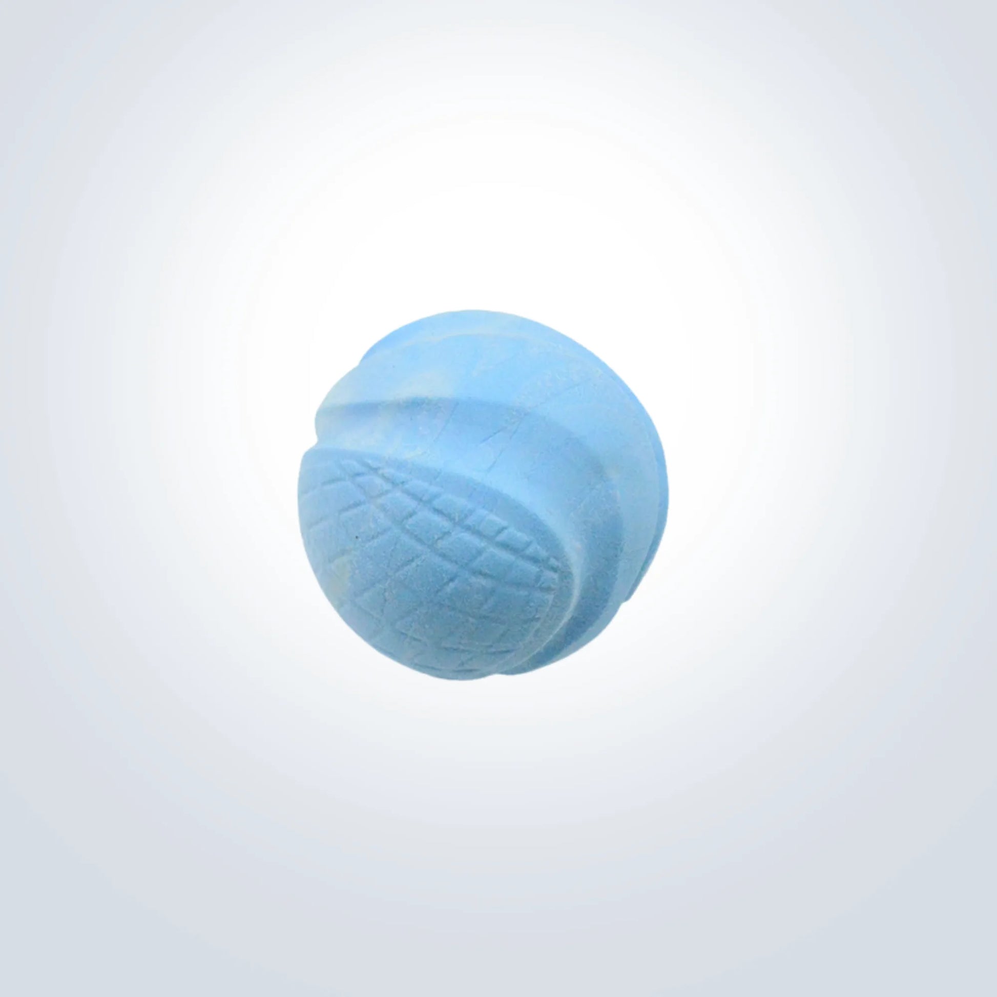 blue bouncy rubber ball dog toy