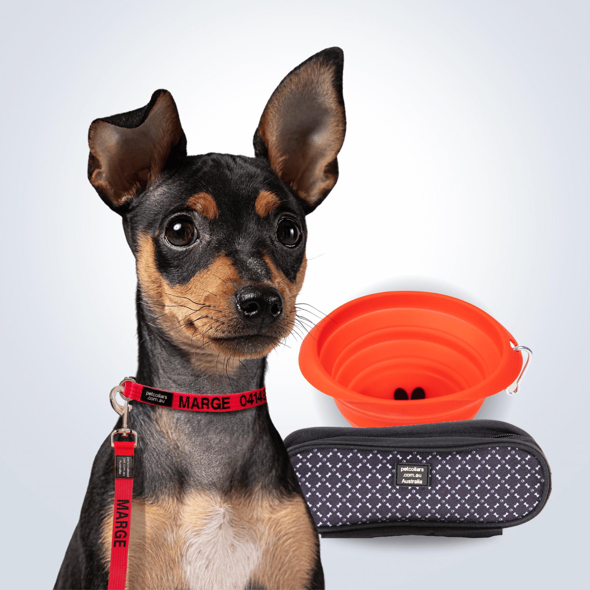 personalised pet walking bundle small