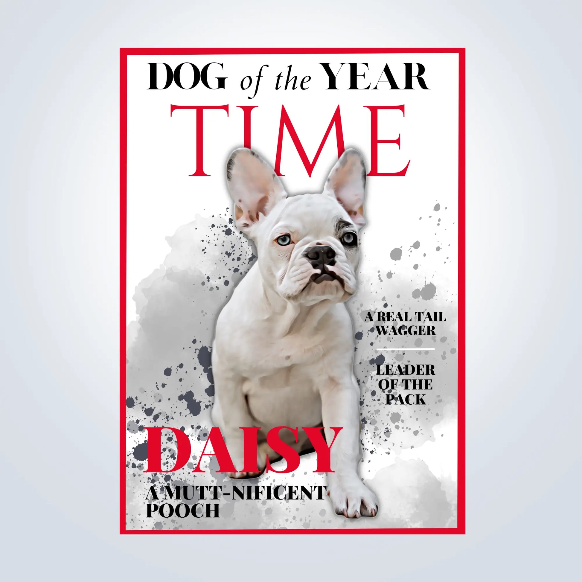 Magazine Style Personalised Pet Portrait