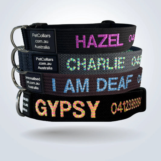 Personalised Pet Collars - Candy Wide Large