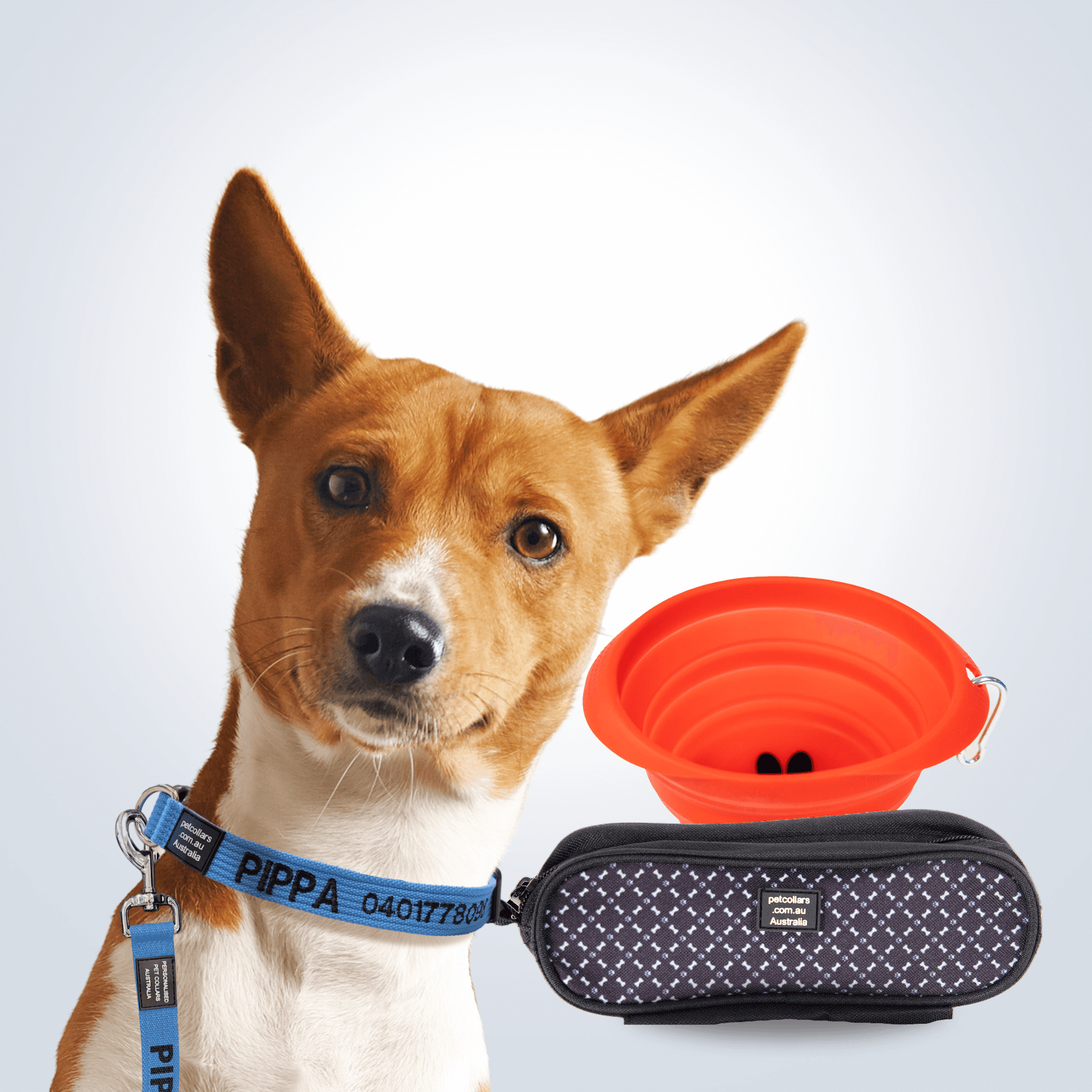 Dog Walking Super Bundle Wide small