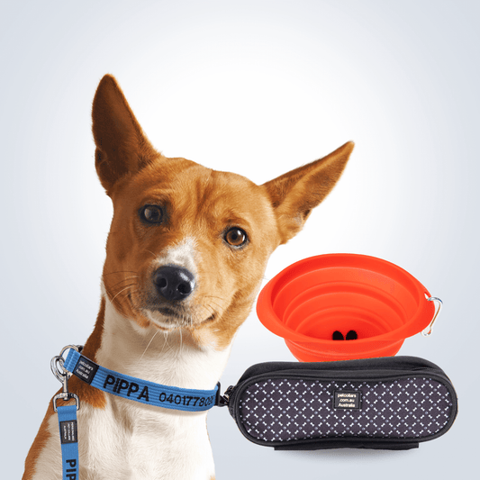 Dog Walking Super Bundle Wide small
