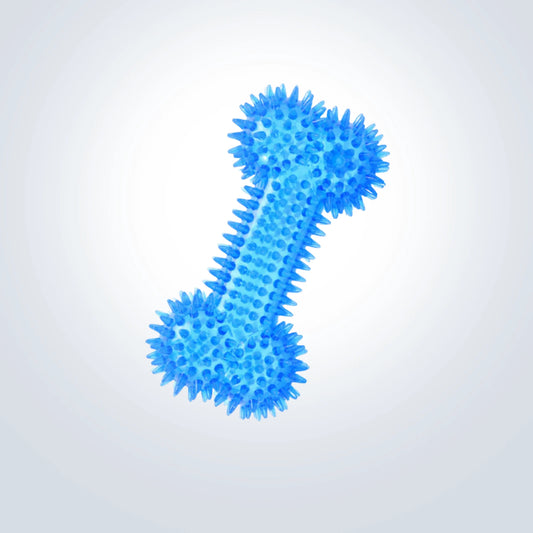 squeaky rubber spiky blue bone dog toy