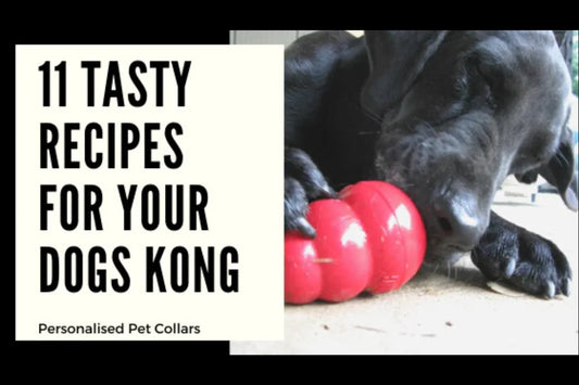 11 Amazing Recipes for your Dogs Kong