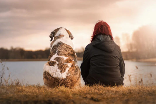 5 Fun Ways to Pick a Perfect Name for Your Pet
