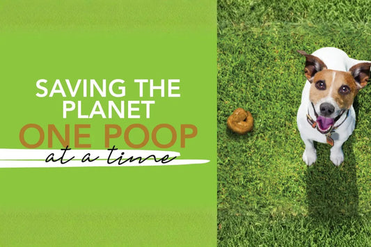 Is Your Dog Poo Killing the Planet