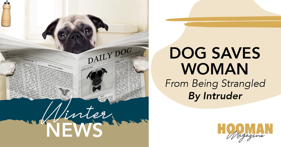 Pet News from Winter 2020