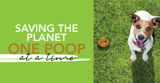 Is Your Dog Poo Killing the Planet