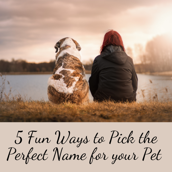 5 Fun Ways to Pick a Perfect Name for Your Pet.