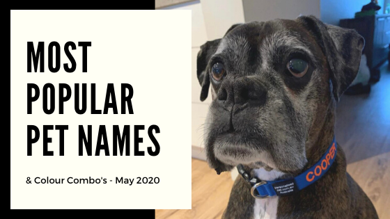 Most Popular Dog & Cat Names - May 2020.