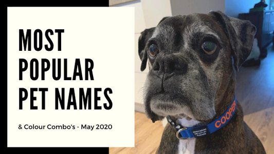  Most Popular Dog & Cat Names - May 2020