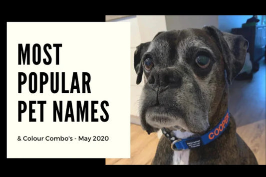 Most Popular Dog & Cat Names - May 2020