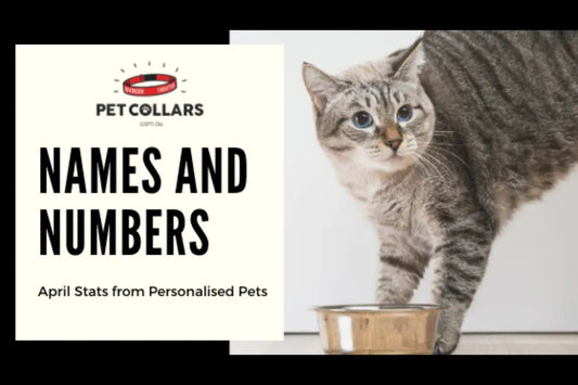 Most Popular Pet Names in April 2020