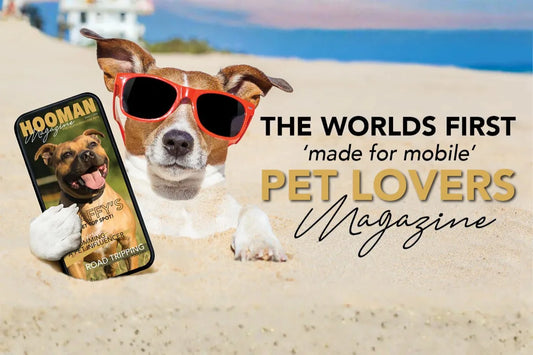 New Magazine Just for Pet Lovers