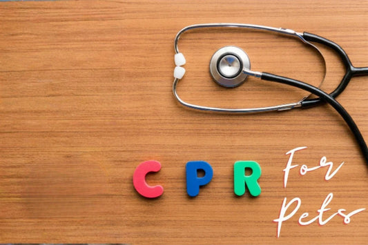  Pet CPR and Resuscitation
