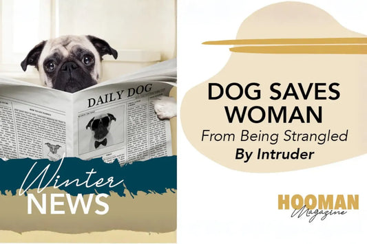 Pet News from Winter 2020