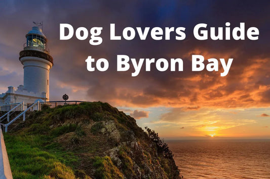  Pet Owners Travel Guide to Byron Bay