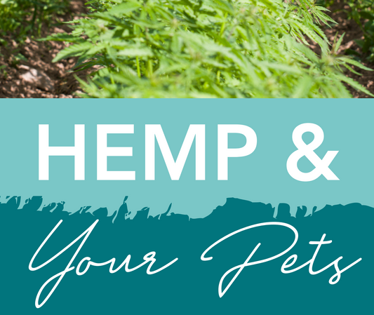 How can Hemp help Your Pets Health